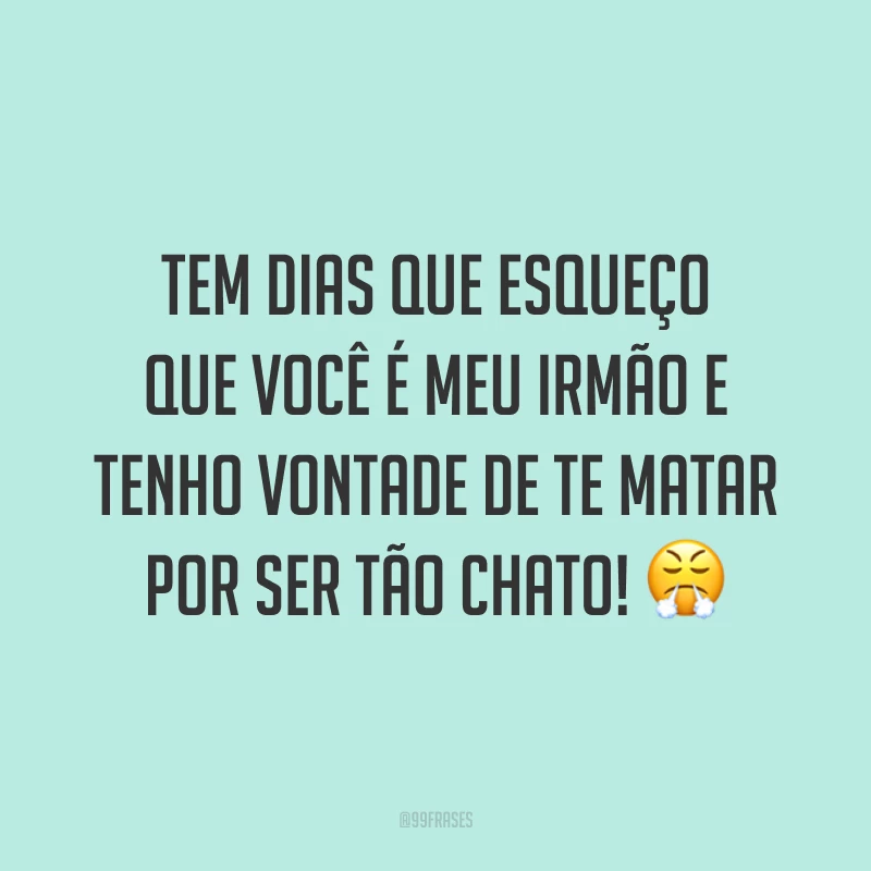 Tem dias que esqueço que você é meu irmão e tenho vontade de te matar por ser tão chato! 😤