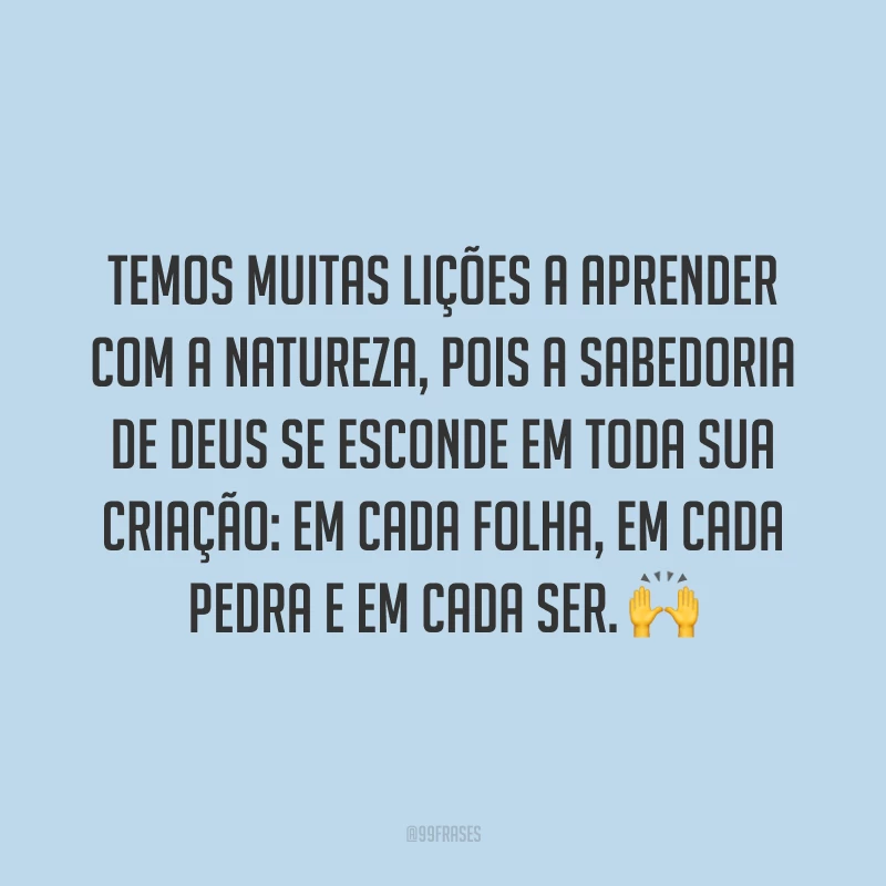 Temos muitas lições a aprender com a natureza, pois a sabedoria de Deus se esconde em toda sua criação: em cada folha, em cada pedra e em cada ser. 🙌