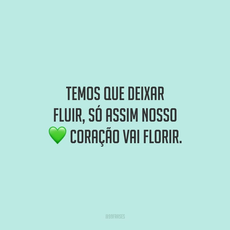 Temos que deixar fluir, só assim nosso coração vai florir.