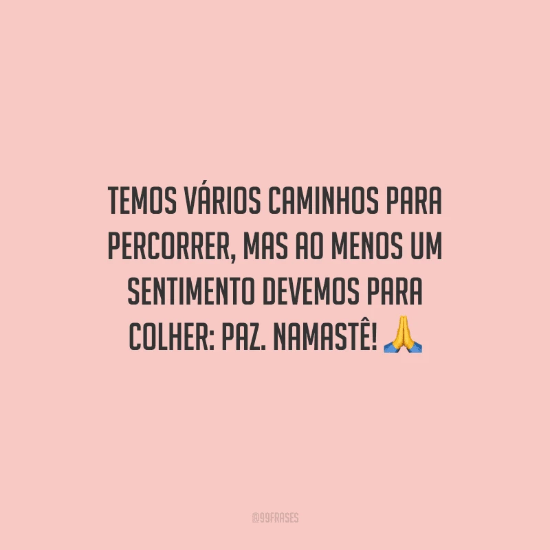 Temos vários caminhos para percorrer, mas ao menos um sentimento devemos para colher: paz. Namastê! 