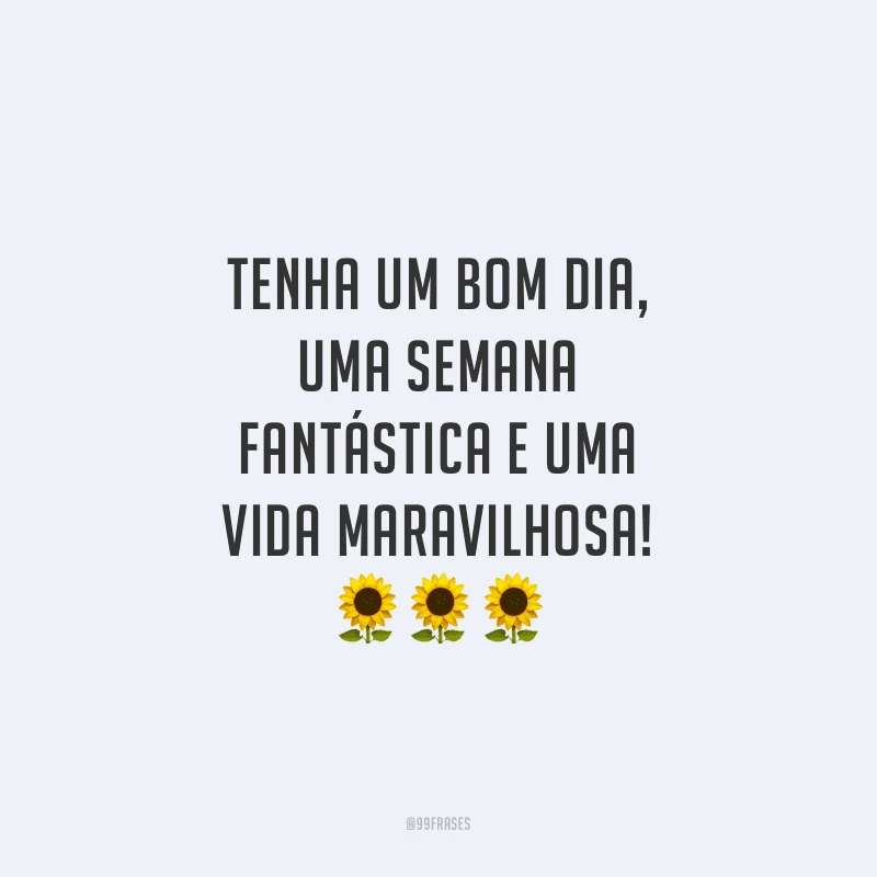 Tenha um bom dia, uma semana fantástica e uma vida maravilhosa!