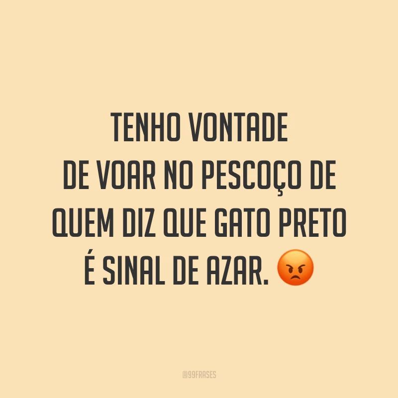 Tenho vontade de voar no pescoço de quem diz que gato preto é sinal de azar. 😡