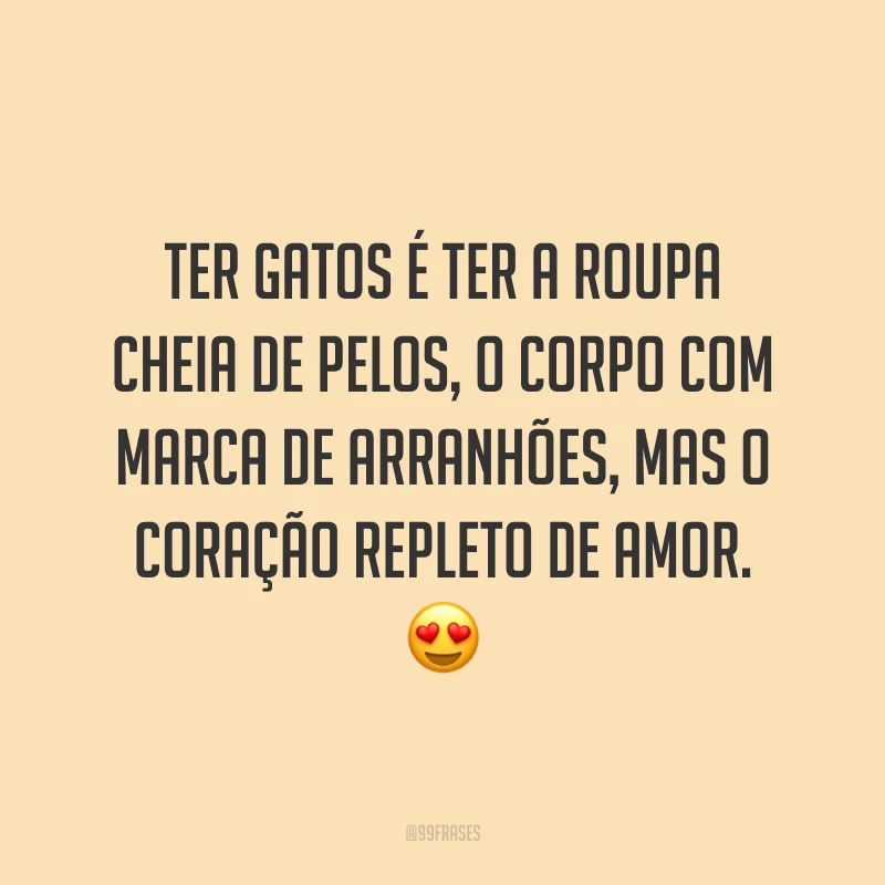 Ter gatos é ter a roupa cheia de pelos, o corpo com marca de arranhões, mas o coração repleto de amor. 😍
