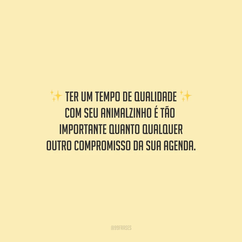 Ter um tempo de qualidade com seu animalzinho é tão importante quanto qualquer outro compromisso da sua agenda.
