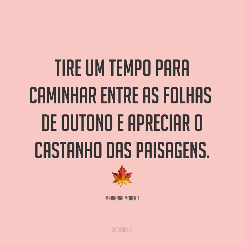 Tire um tempo para caminhar entre as folhas de outono e apreciar o castanho das paisagens. ?