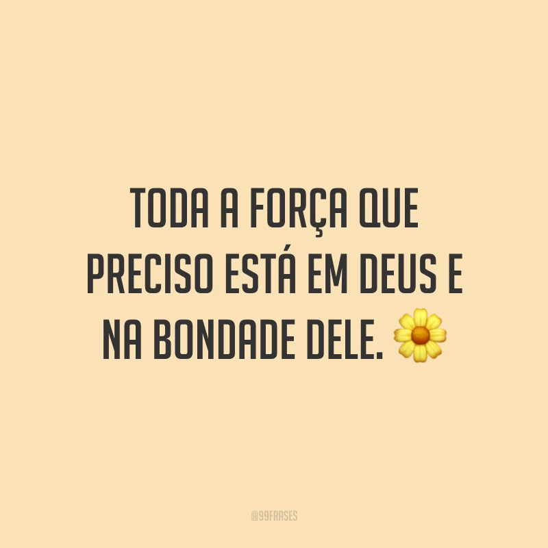 Toda a força que preciso está em Deus e na bondade Dele. 🌼
