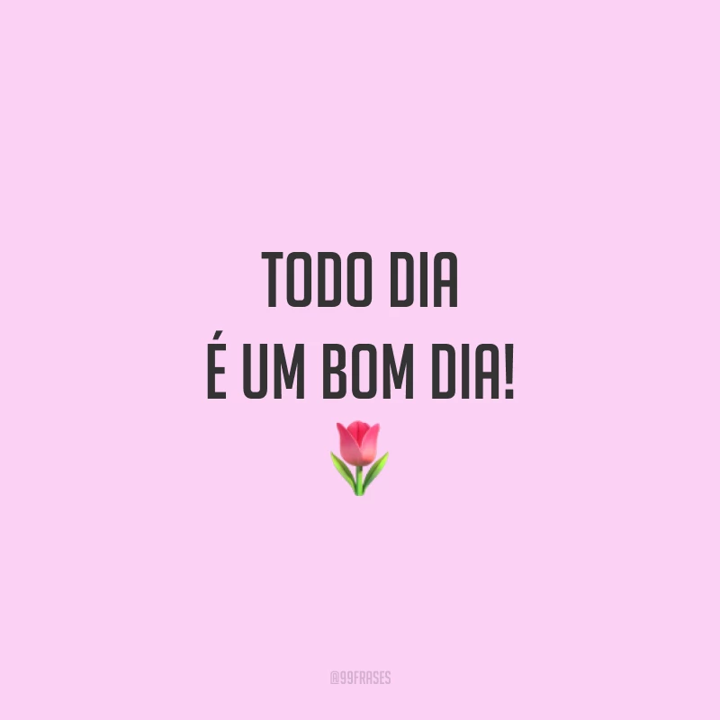Todo dia é um bom dia! 🌷