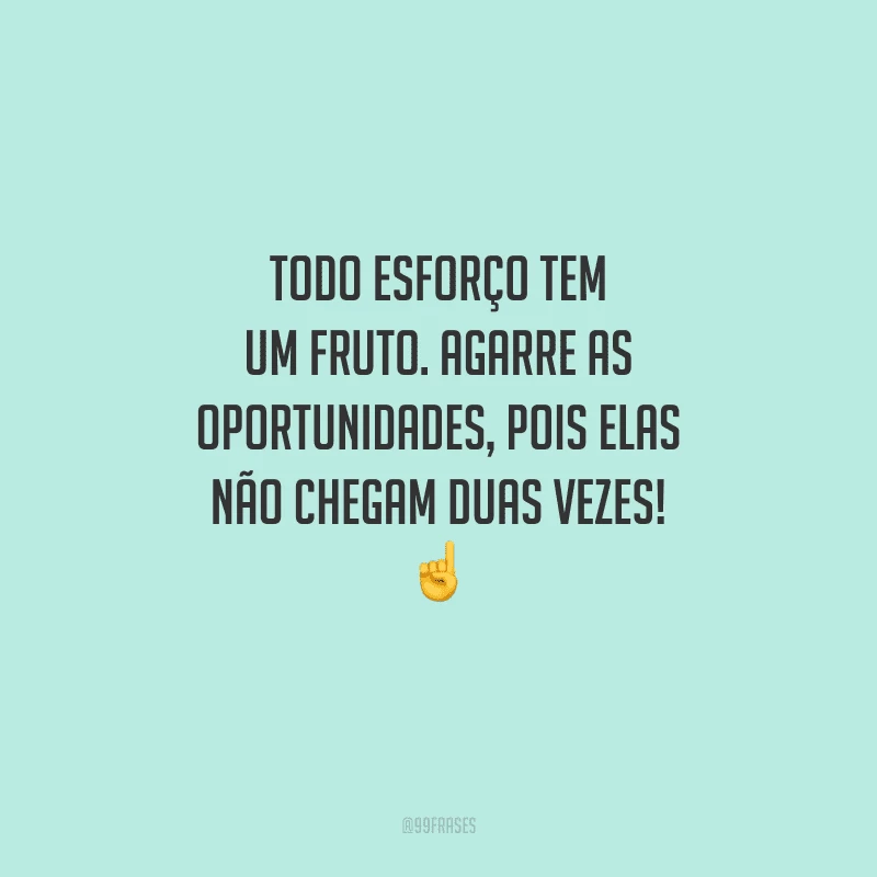 Todo esforço tem um fruto. Agarre as oportunidades, pois elas não chegam duas vezes! 