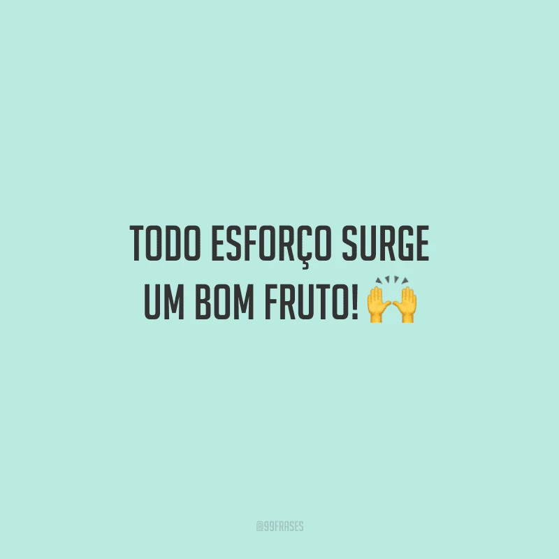 Todo esforço surge um bom fruto! 