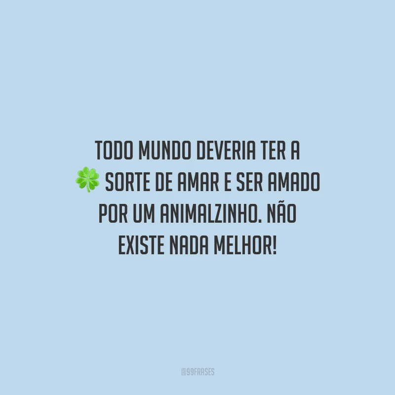 Todo mundo deveria ter a sorte de amar e ser amado por um animalzinho. Não existe nada melhor!