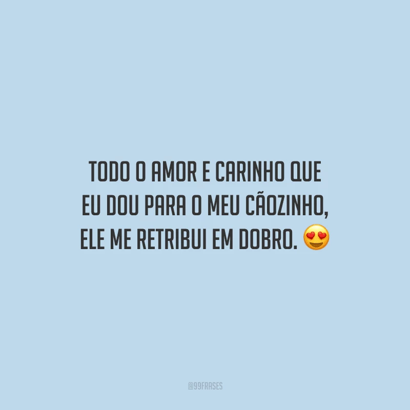 Todo o amor e carinho que eu dou para o meu cãozinho, ele me retribui em dobro.
