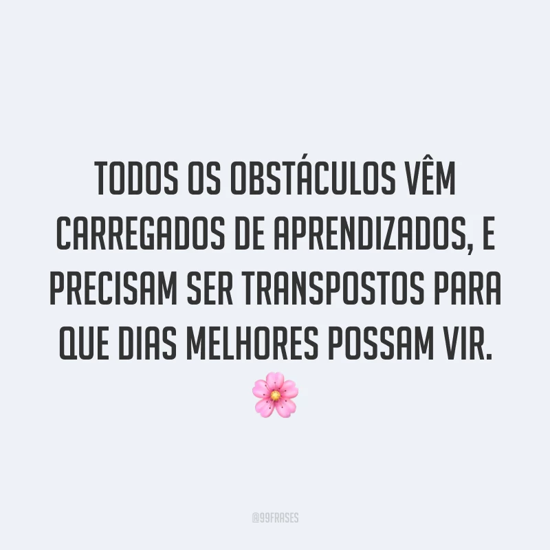 Todos os obstáculos vêm carregados de aprendizados, e precisam ser transpostos para que dias melhores possam vir. 🌸