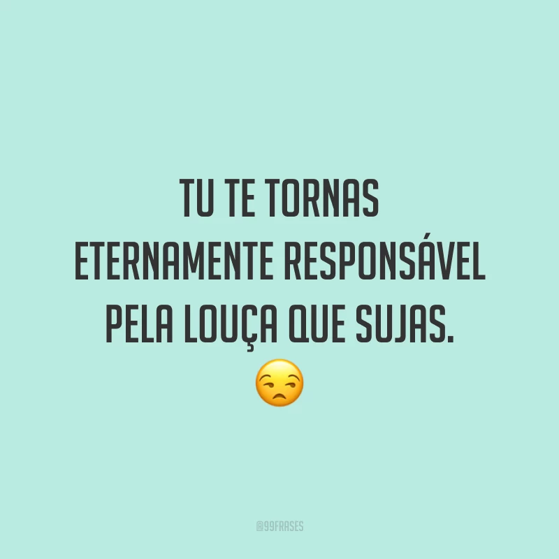 Tu te tornas eternamente responsável pela louça que sujas. 😒