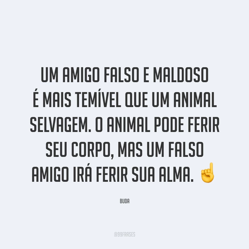 Um amigo falso e maldoso é mais temível que um animal selvagem. O animal pode ferir seu corpo, mas um falso amigo irá ferir sua alma. ☝️