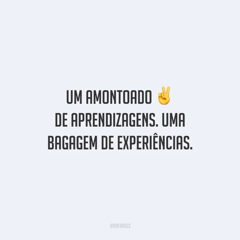 Um amontoado de aprendizagens. Uma bagagem de experiências. 
