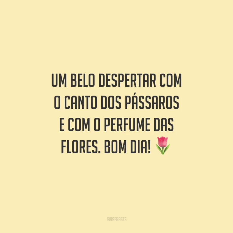 Um belo despertar com o canto dos pássaros e com o perfume das flores. Bom dia! 