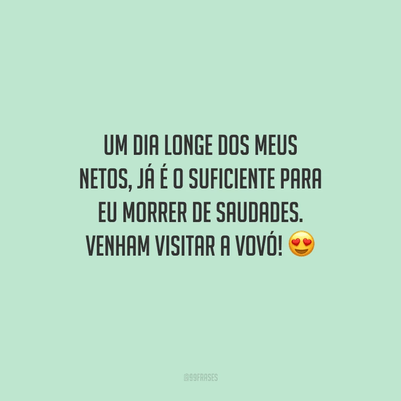 Um dia longe dos meus netos, já é o suficiente para eu morrer de saudades. Venham visitar a vovó!