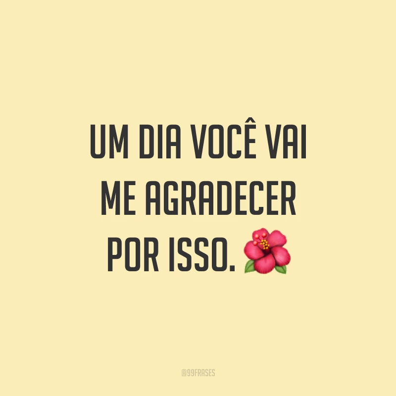 Um dia você vai me agradecer por isso.