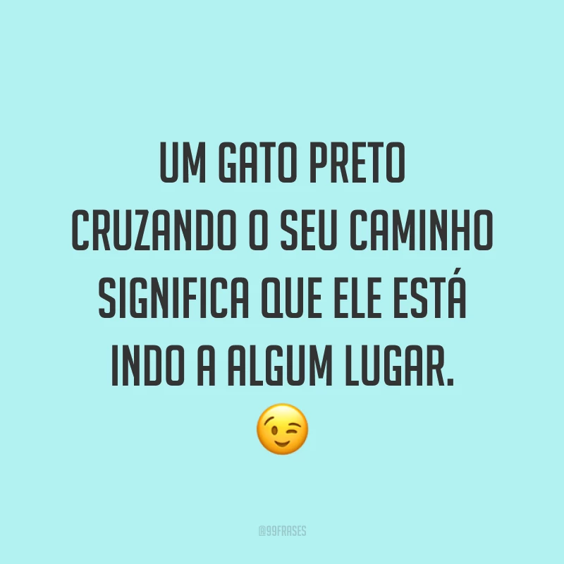 Um gato preto cruzando o seu caminho significa que ele está indo a algum lugar. 😉