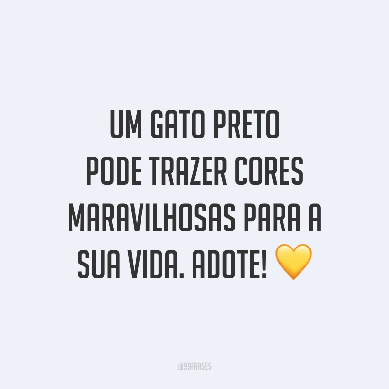 Um gato preto pode trazer cores maravilhosas para a sua vida. Adote! 💛