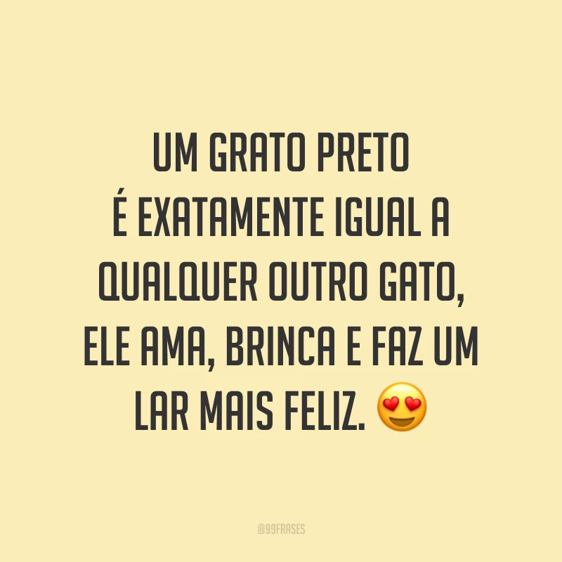 Um grato preto é exatamente igual a qualquer outro gato, ele ama, brinca e faz um lar mais feliz. 😍