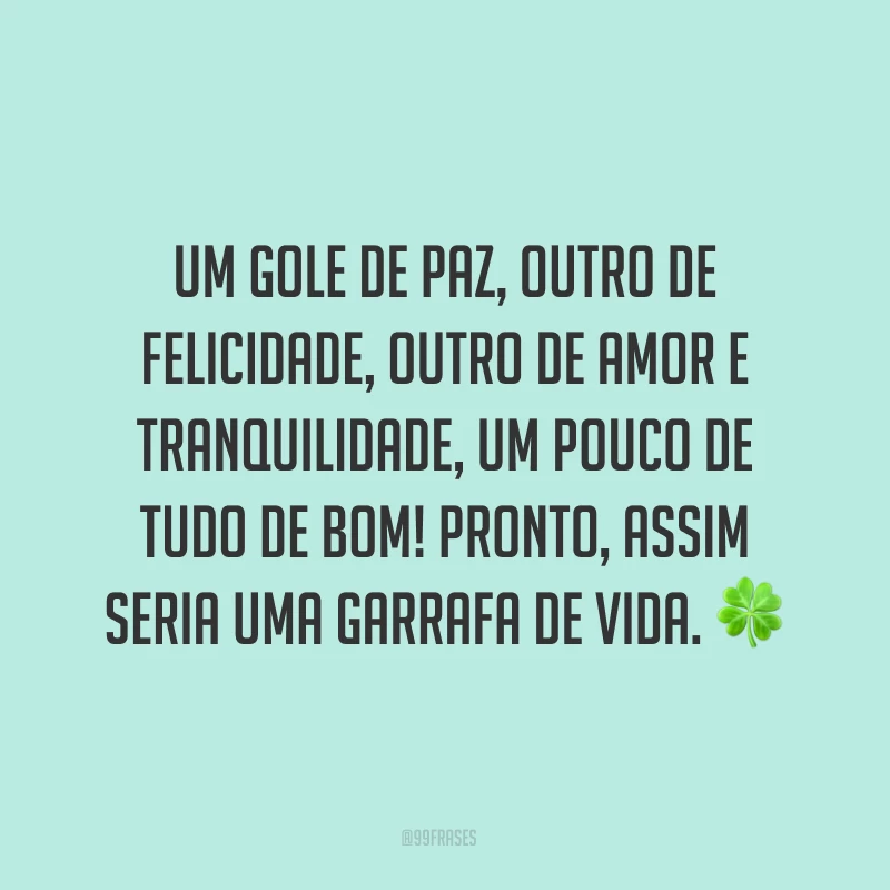 Um gole de paz, outro de felicidade, outro de amor e tranquilidade, um pouco de tudo de bom! Pronto, assim seria uma garrafa de vida. ?