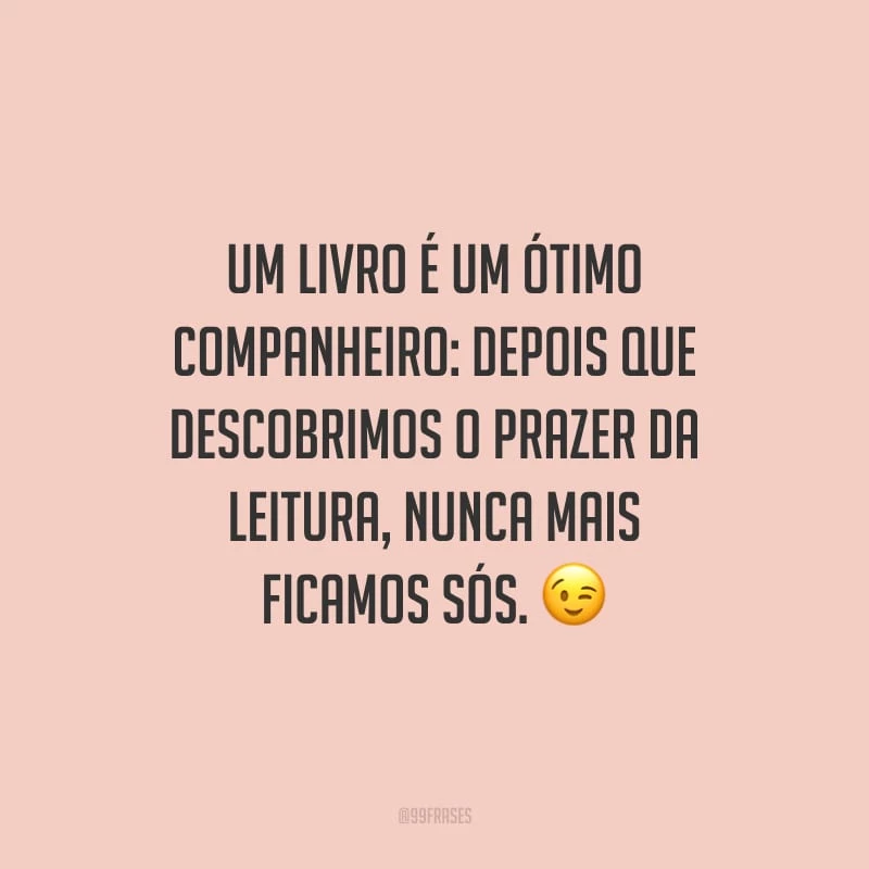 Um livro é um ótimo companheiro: depois que descobrimos o prazer da leitura, nunca mais ficamos sós.