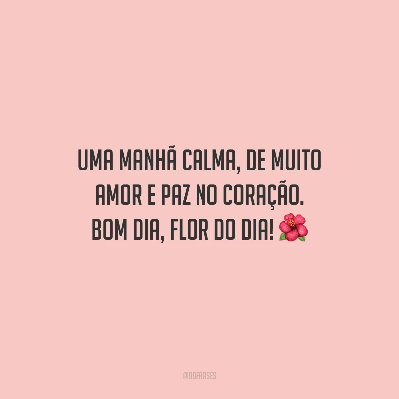 Uma manhã calma, de muito amor e paz no coração. Bom dia, flor do dia! 