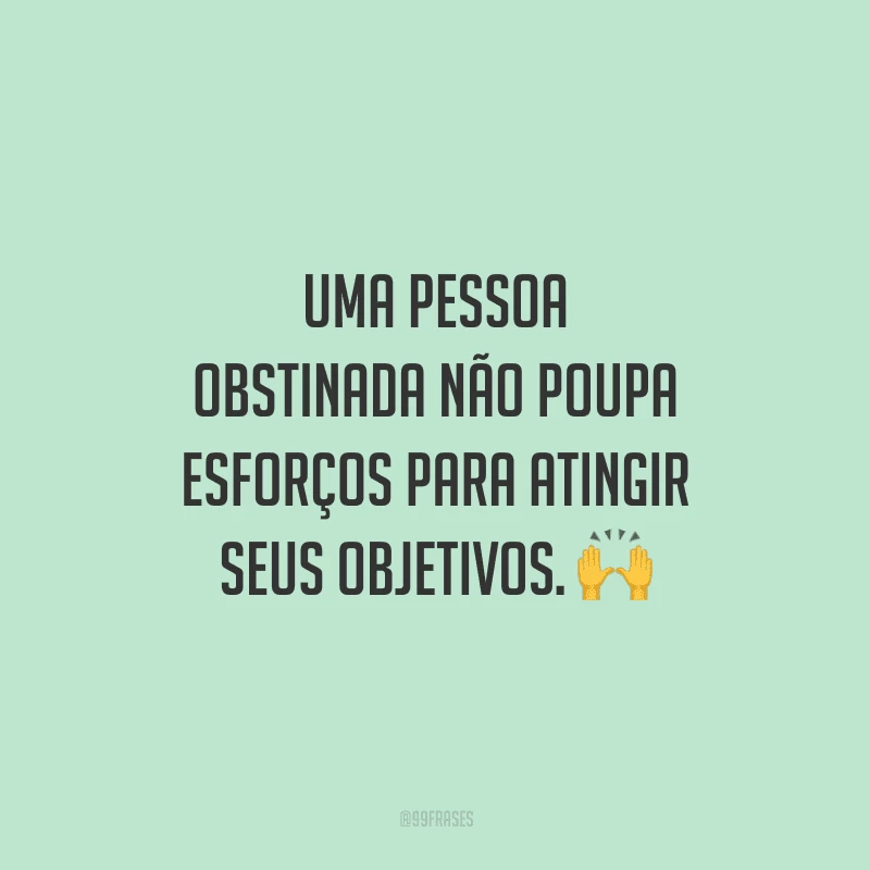 Uma pessoa obstinada não poupa esforços para atingir seus objetivos.
