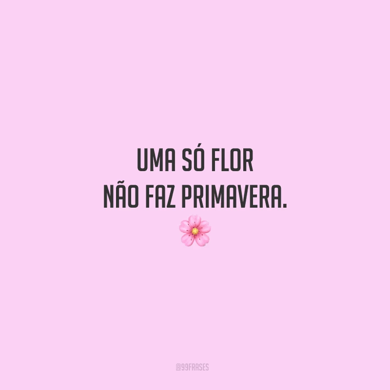 Uma só flor não faz primavera.