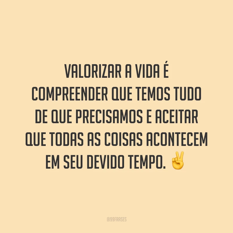 Valorizar a vida é compreender que temos tudo de que precisamos e aceitar que todas as coisas acontecem em seu devido tempo. ✌️