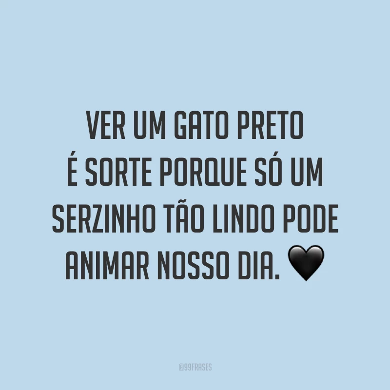 Ver um gato preto é sorte porque só um serzinho tão lindo pode animar nosso dia. 🖤
