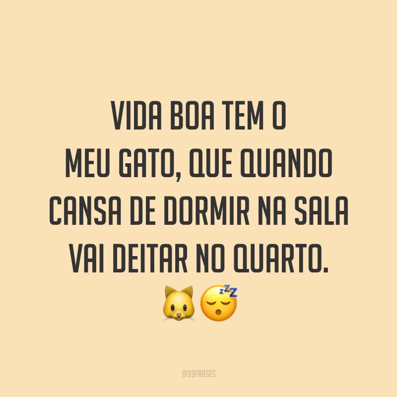 Vida boa tem o meu gato, que quando cansa de dormir na sala vai deitar no quarto. 🐱😴