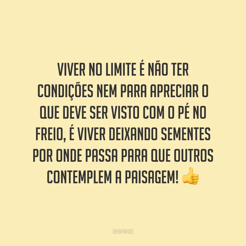 Viver no limite é não ter condições nem para apreciar o que deve ser visto com o pé no freio, é viver deixando sementes por onde passa para que outros contemplem a paisagem!