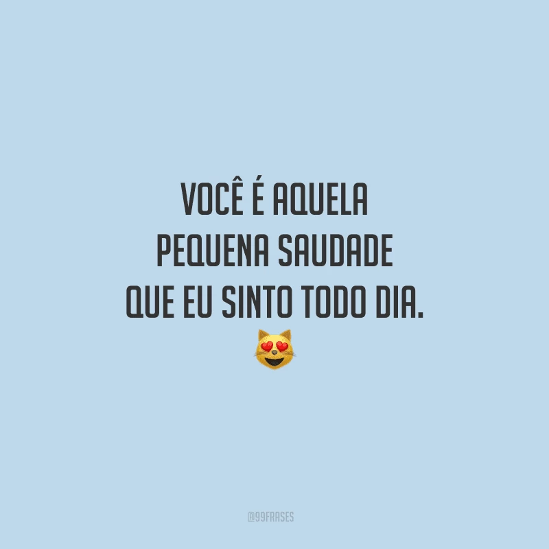 Você é aquela pequena saudade que eu sinto todo dia.