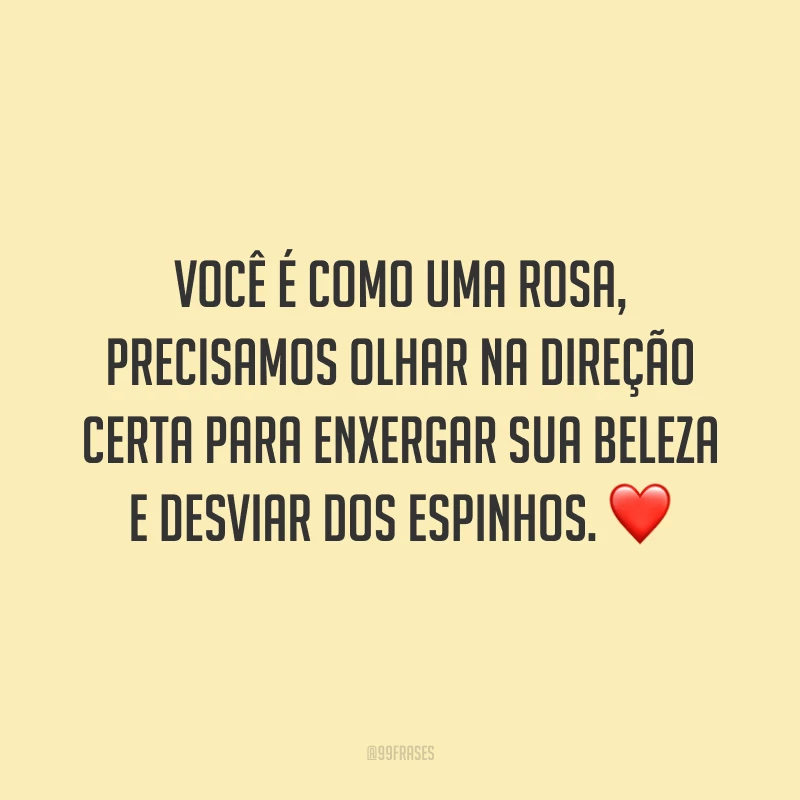 Você é como uma rosa, precisamos olhar na direção certa para enxergar sua beleza e desviar dos espinhos. ❤️