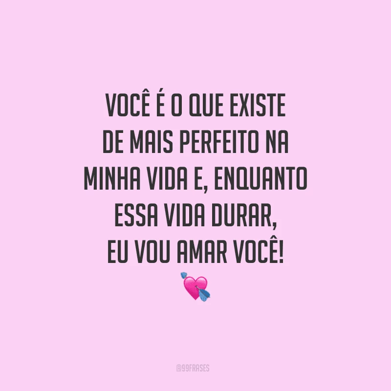 Você é o que existe de mais perfeito na minha vida e, enquanto essa vida durar, eu vou amar você!

