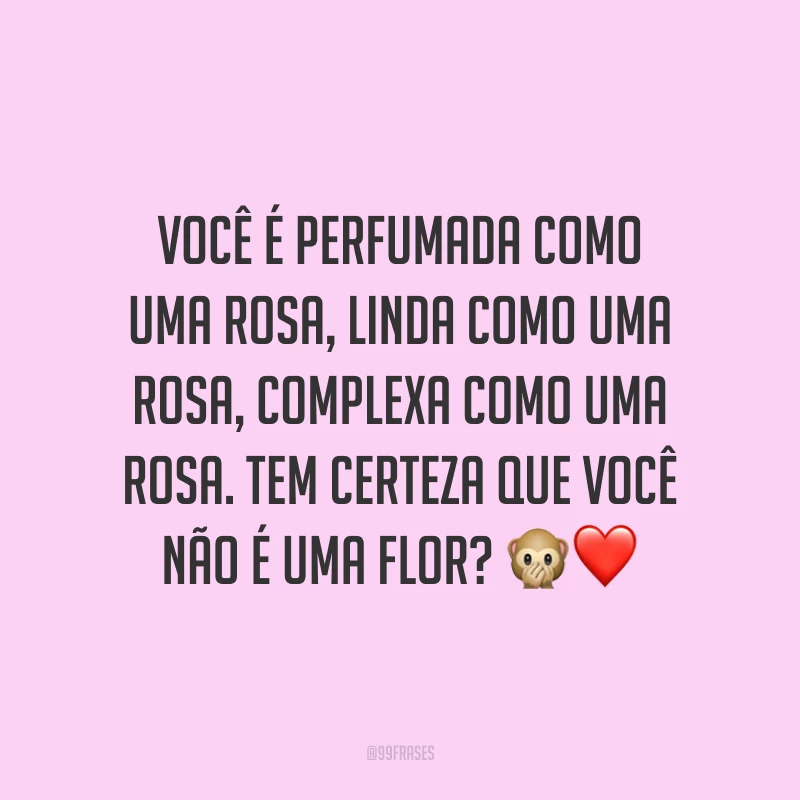 Você é perfumada como uma rosa, linda como uma rosa, complexa como uma rosa. Tem certeza que você não é uma flor? 🙊❤️