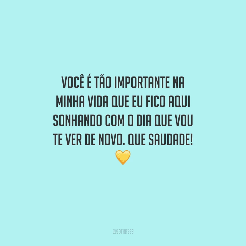 Você é tão importante na minha vida que eu fico aqui sonhando com o dia que vou te ver de novo. Que saudade! 