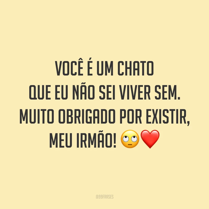 Você é um chato que eu não sei viver sem. Muito obrigado por existir, meu irmão! 🙄❤️