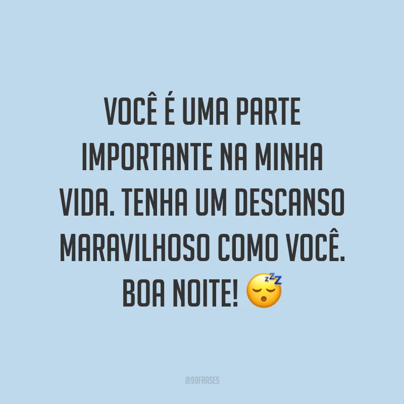 Você é uma parte importante na minha vida. Tenha um descanso maravilhoso como você. Boa noite! 😴
