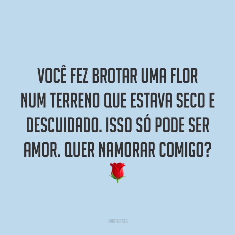 Você fez brotar uma flor num terreno que estava seco e descuidado. Isso só pode ser amor. Quer namorar comigo? 🌹