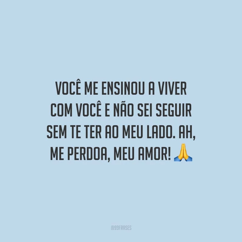 Você me ensinou a viver com você e não sei seguir sem te ter ao meu lado. Ah, me perdoa, meu amor!