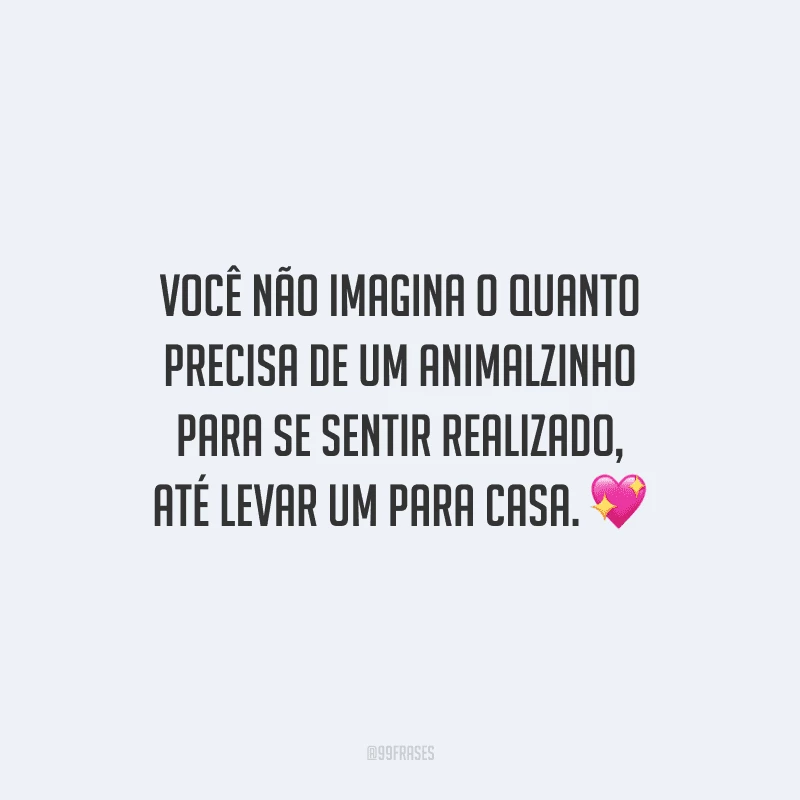 Você não imagina o quanto precisa de um animalzinho para se sentir realizado, até levar um para casa.