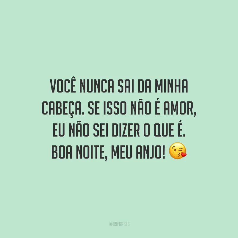 Você nunca sai da minha cabeça. Se isso não é amor, eu não sei dizer o que é. Boa noite, meu anjo! 