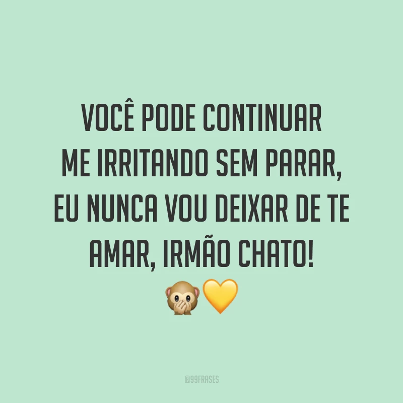 Você pode continuar me irritando sem parar, eu nunca vou deixar de te amar, irmão chato! 🙊💛