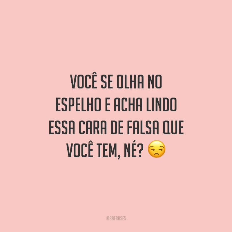 Você se olha no espelho e acha lindo essa cara de falsa que você tem, né? 